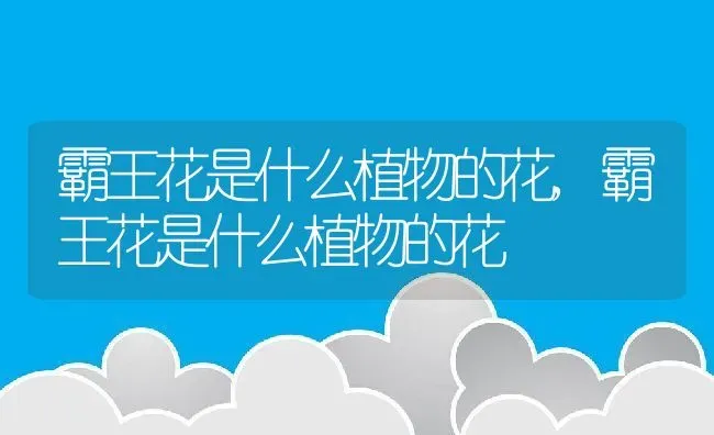 柠檬薄荷怎么养,柠檬薄荷怎么种植？ | 养殖常见问题