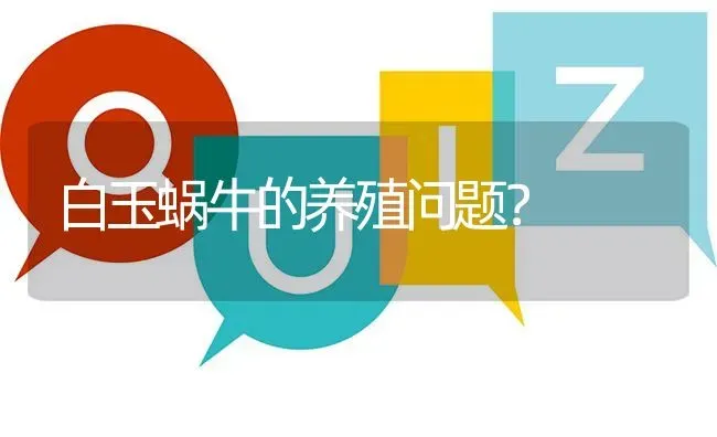白玉蜗牛的养殖问题? | 养殖问题解答