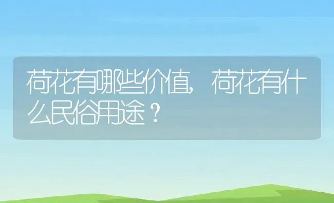 荷花有哪些价值,荷花有什么民俗用途？ | 养殖常见问题