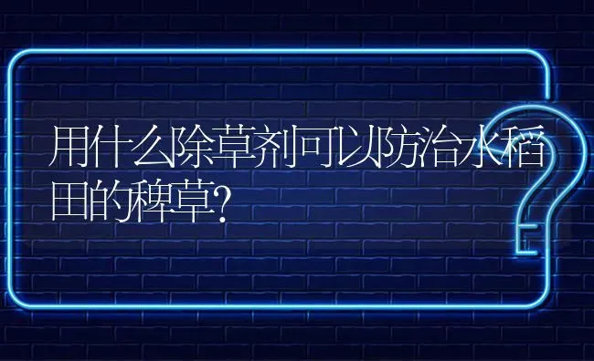 用什么除草剂可以防治水稻田的稗草? | 养殖问题解答