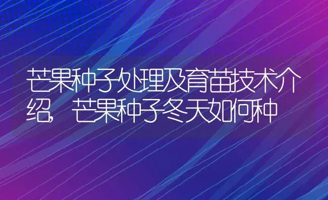 芒果种子处理及育苗技术介绍,芒果种子冬天如何种 | 养殖常见问题