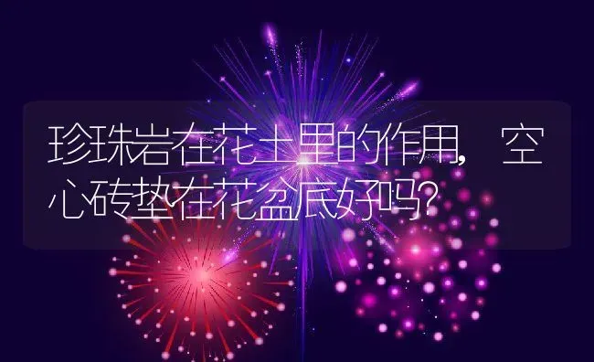 珍珠岩在花土里的作用,空心砖垫在花盆底好吗？ | 养殖常见问题