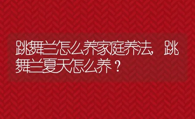 跳舞兰怎么养家庭养法,跳舞兰夏天怎么养？ | 养殖常见问题