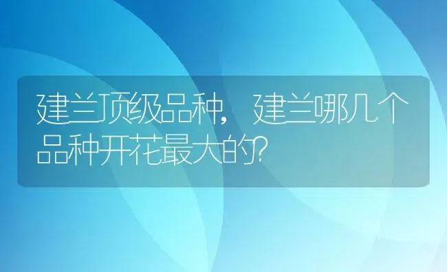 建兰顶级品种,建兰哪几个品种开花最大的？ | 养殖常见问题