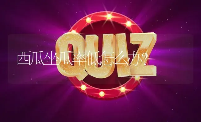 西瓜坐瓜率低怎么办? | 养殖问题解答