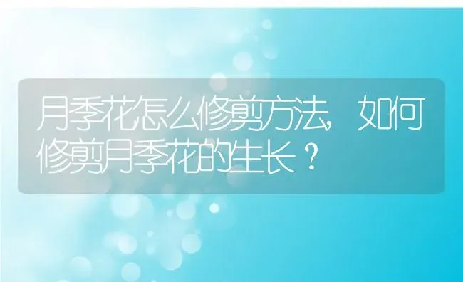 月季花怎么修剪方法,如何修剪月季花的生长？ | 养殖常见问题