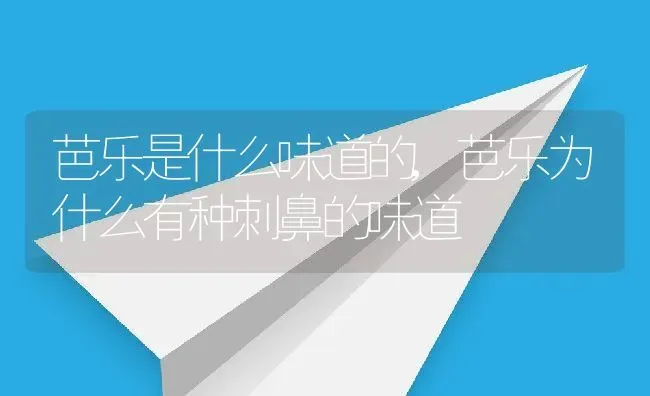 芭乐是什么味道的,芭乐为什么有种刺鼻的味道 | 养殖常见问题