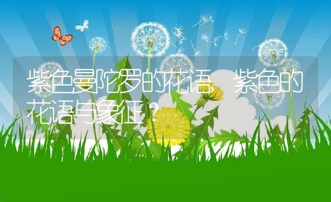 紫色曼陀罗的花语,紫色的花语与象征？ | 养殖常见问题