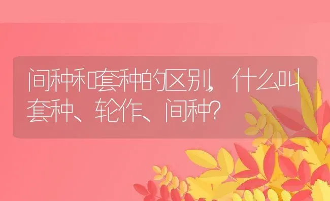 间种和套种的区别,什么叫套种、轮作、间种？ | 养殖常见问题