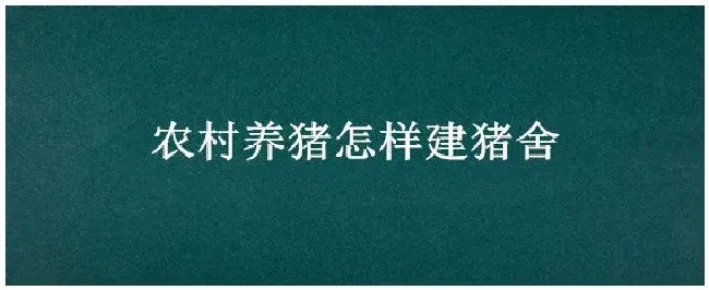 农村养猪怎样建猪舍 | 农业答疑