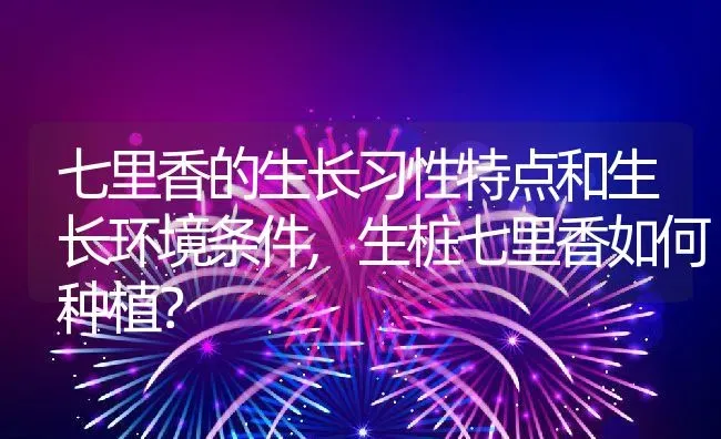 七里香的生长习性特点和生长环境条件,生桩七里香如何种植？ | 养殖常见问题