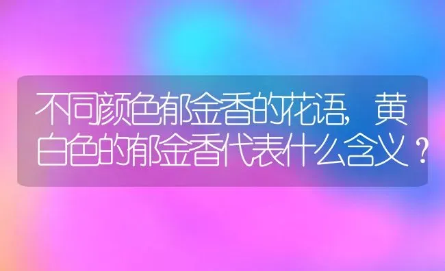 不同颜色郁金香的花语,黄白色的郁金香代表什么含义？ | 养殖常见问题