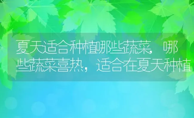 铁皮石斛产地在哪里,金皮石斛很稀有，他产自哪里 | 养殖常见问题