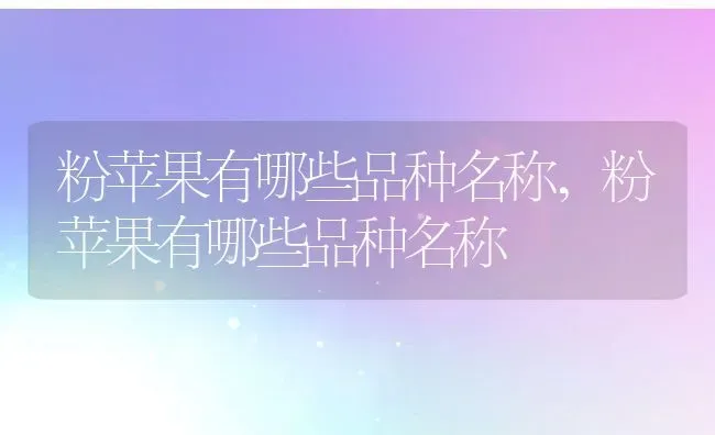 粉苹果有哪些品种名称,粉苹果有哪些品种名称 | 养殖常见问题