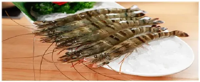基围虾属于海鲜吗 | 农业答疑