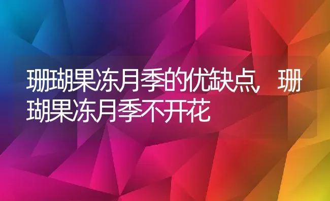 珊瑚果冻月季的优缺点,珊瑚果冻月季不开花 | 养殖常见问题