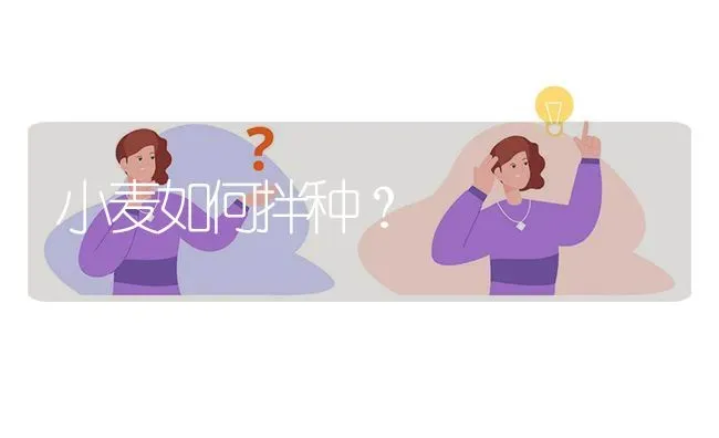 小麦如何拌种? | 养殖问题解答