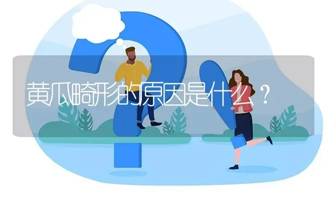 黄瓜畸形的原因是什么? | 养殖问题解答