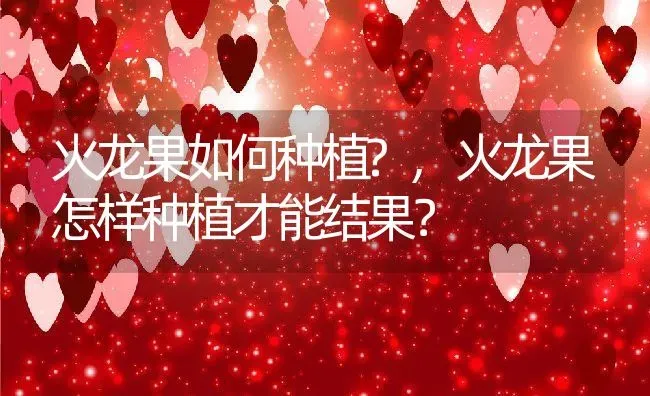 火龙果如何种植?,火龙果怎样种植才能结果？ | 养殖常见问题