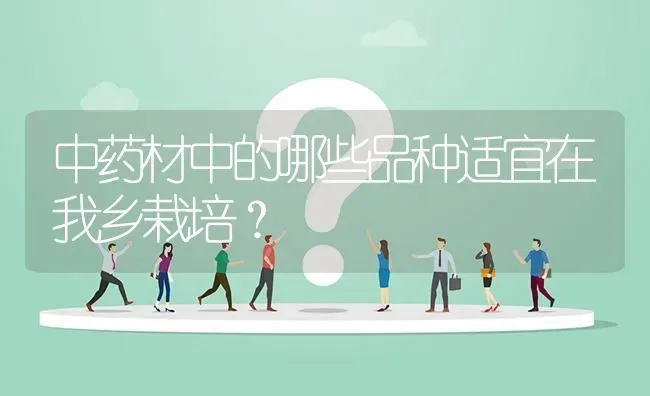 中药材中的哪些品种适宜在我乡栽培? | 养殖问题解答