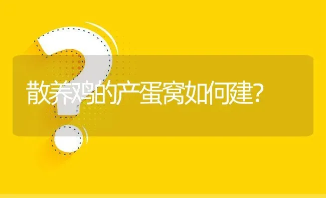 散养鸡的产蛋窝如何建? | 养殖问题解答