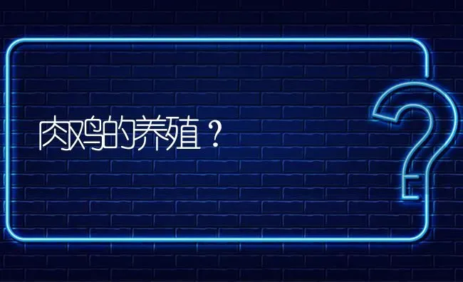 肉鸡的养殖? | 养殖问题解答