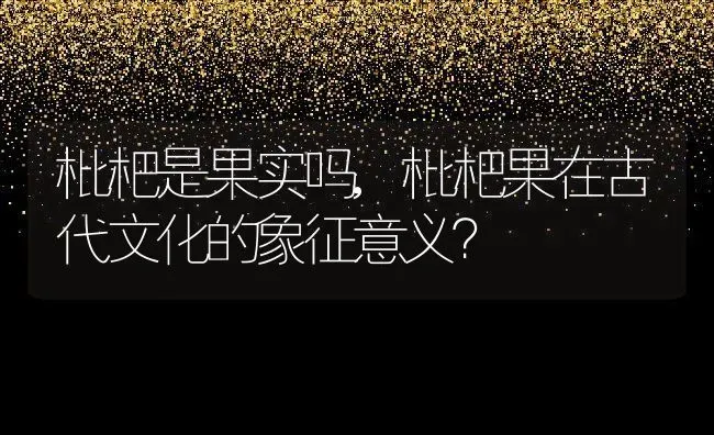 枇杷是果实吗,枇杷果在古代文化的象征意义？ | 养殖常见问题