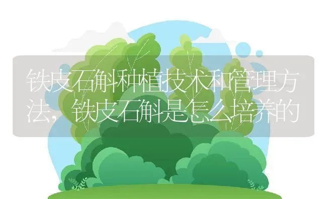 铁皮石斛种植技术和管理方法,铁皮石斛是怎么培养的 | 养殖常见问题