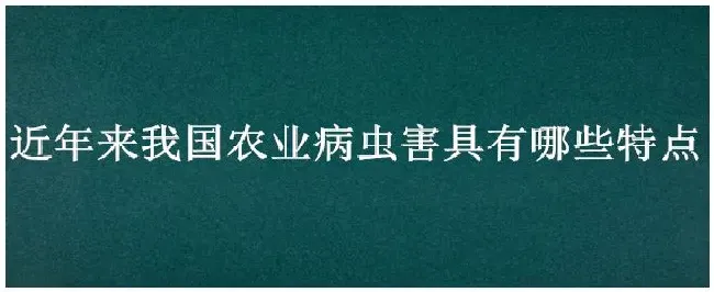 近年来我国农业病虫害具有哪些特点 | 科普知识