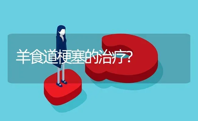 羊食道梗塞的治疗? | 养殖问题解答