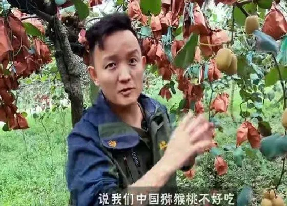 植物常识问题|水果猎人重新出发 看看杨晓洋猎奇各种水果的精彩人生