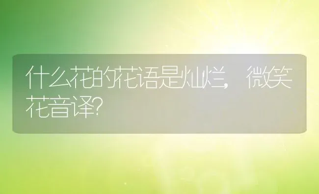 什么花的花语是灿烂,微笑花音译？ | 养殖常见问题