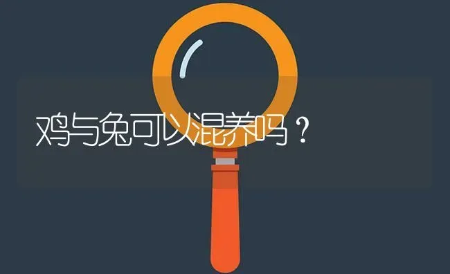鸡与兔可以混养吗? | 养殖问题解答