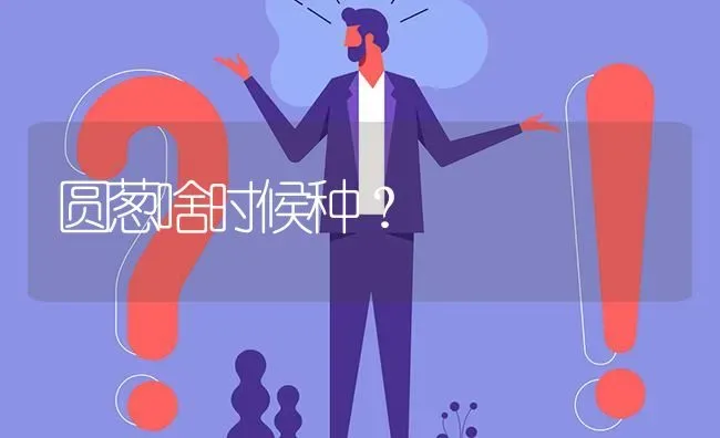 圆葱啥时候种? | 养殖问题解答