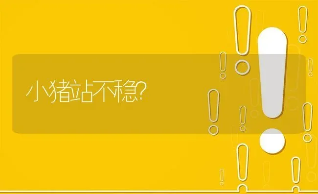 小猪站不稳? | 养殖问题解答