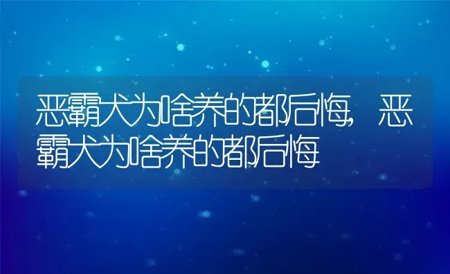 恶霸犬为啥养的都后悔,恶霸犬为啥养的都后悔 | 养殖常见问题