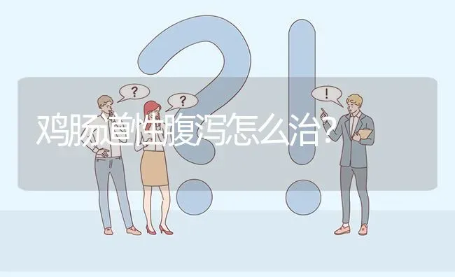 鸡肠道性腹泻怎么治? | 养殖问题解答