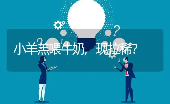 小羊羔喂牛奶,现拉稀? | 养殖问题解答