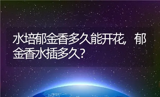 水培郁金香多久能开花,郁金香水插多久？ | 养殖常见问题