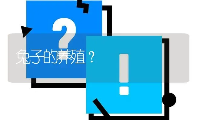 兔子的养殖? | 养殖问题解答