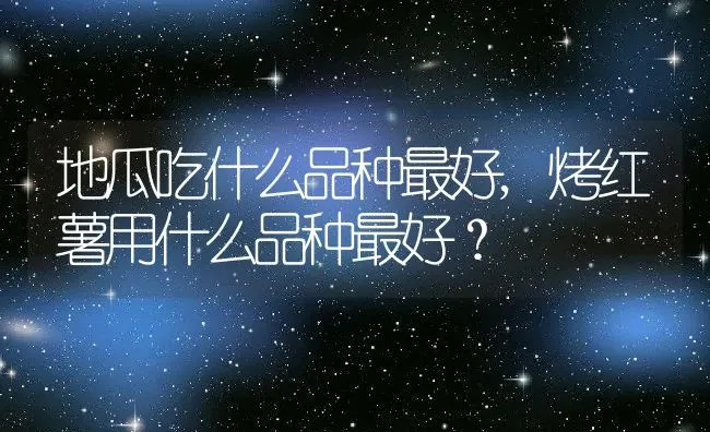 地瓜吃什么品种最好,烤红薯用什么品种最好？ | 养殖常见问题