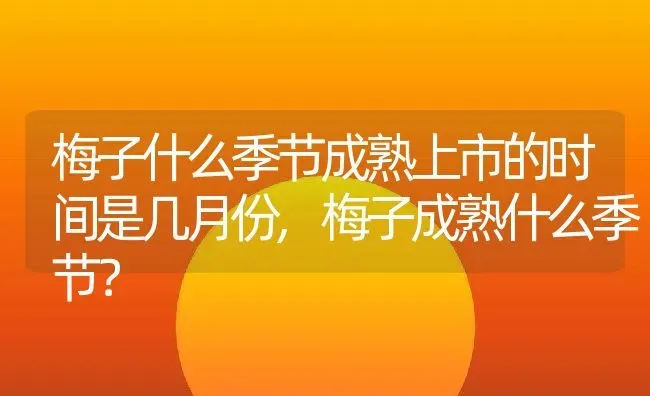 梅子什么季节成熟上市的时间是几月份,梅子成熟什么季节？ | 养殖常见问题