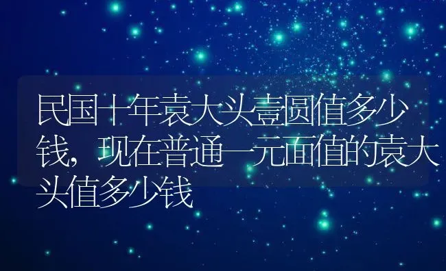 民国十年袁大头壹圆值多少钱,现在普通一元面值的袁大头值多少钱 | 养殖常见问题