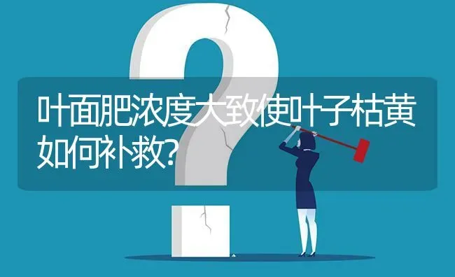 叶面肥浓度大致使叶子枯黄如何补救? | 养殖问题解答