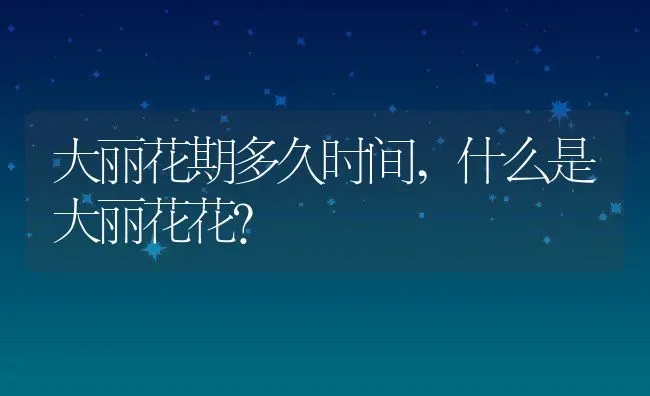 大丽花期多久时间,什么是大丽花花？ | 养殖常见问题