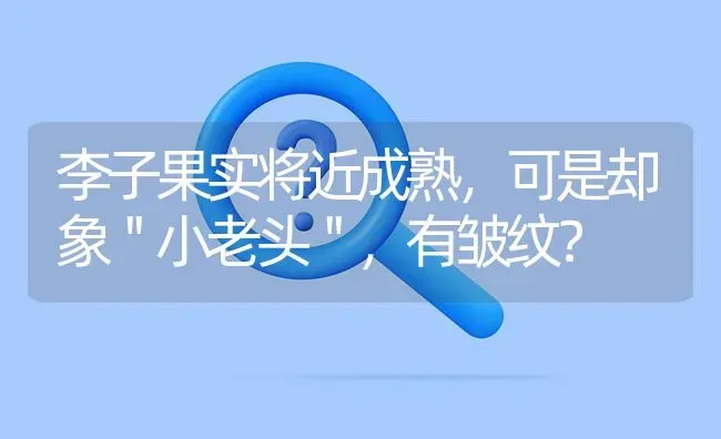 李子果实将近成熟,可是却象＂小老头＂,有皱纹? | 养殖问题解答