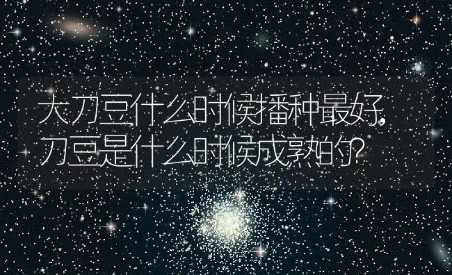 大刀豆什么时候播种最好,刀豆是什么时候成熟的？ | 养殖常见问题