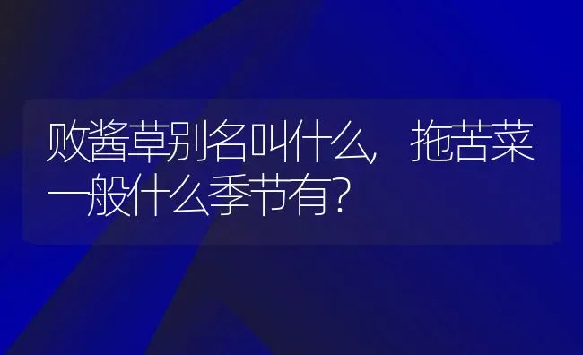 败酱草别名叫什么,拖苦菜一般什么季节有？ | 养殖常见问题