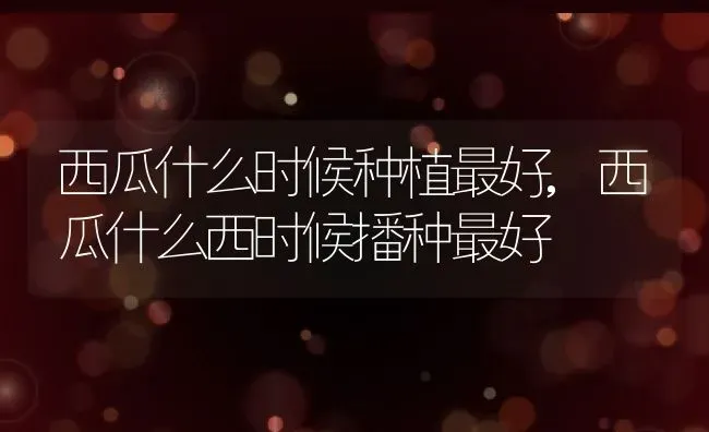 粉色花语代表什么意思,关于粉丝花的花语？ | 养殖常见问题
