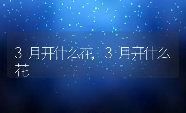 3月开什么花,3月开什么花 | 养殖常见问题